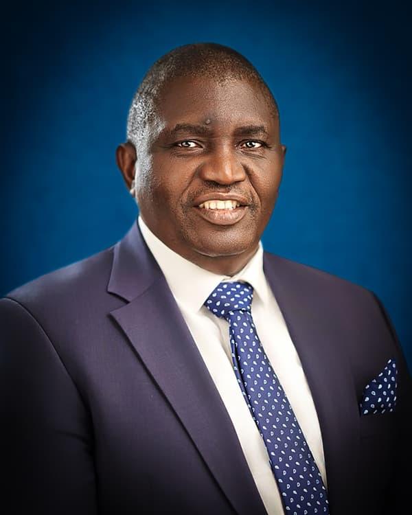 Portrait of Bamidele Jemirin